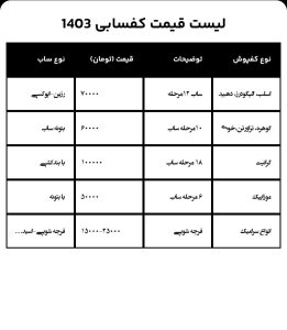 قیمت کفسابی