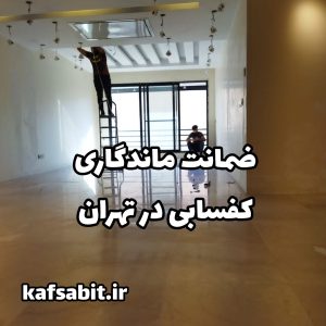 ضمانت ماندگاری کفسابی در تهران